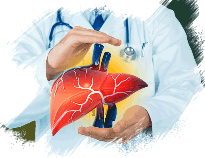 Looking for LIVER TRANSPLANT?